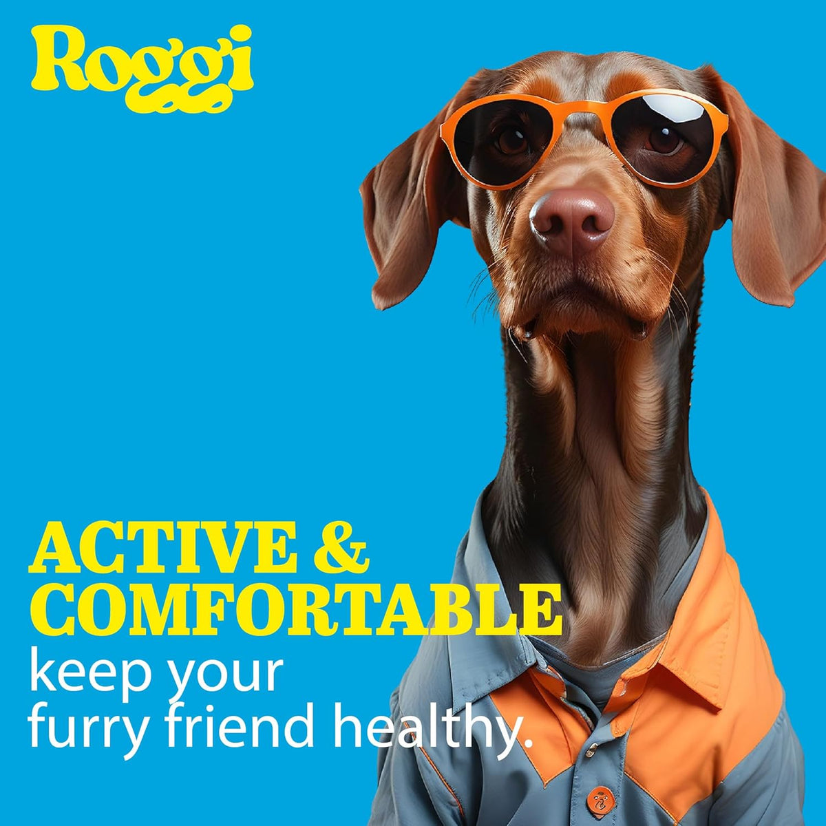 Joint Care Chews for Dogs